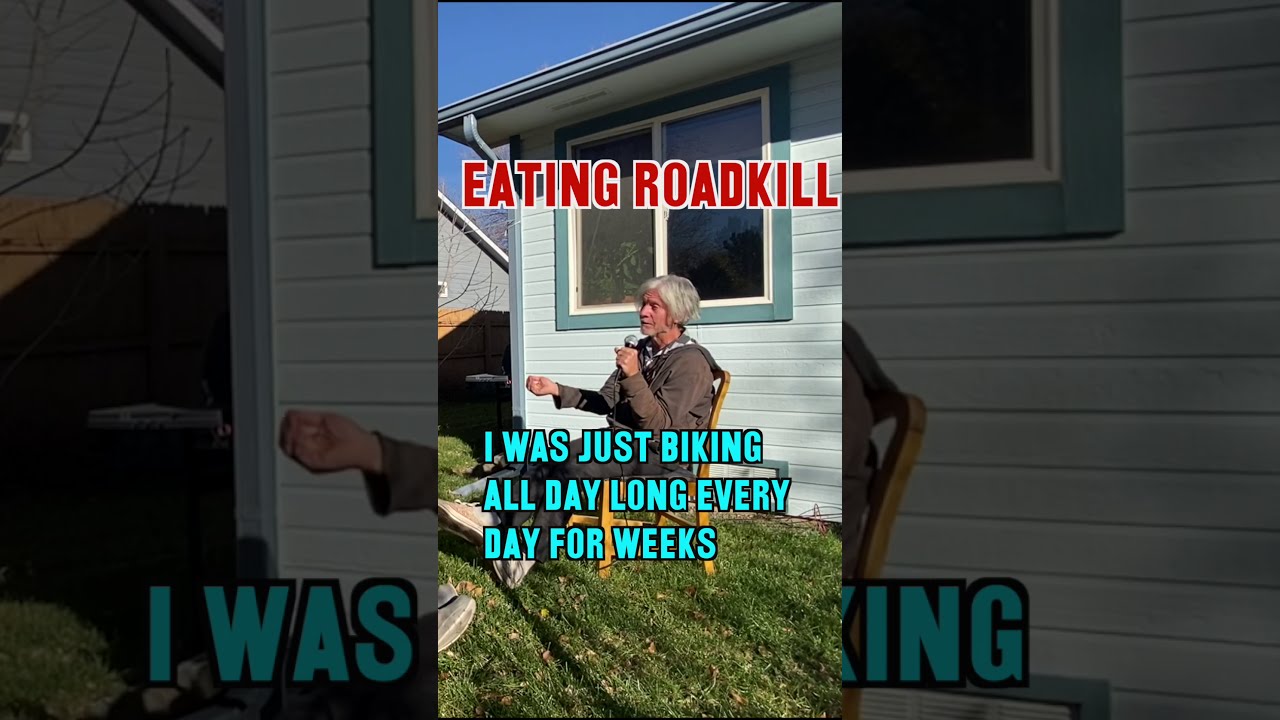 Eating roadkill 