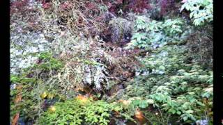 Aiden June, 2012.wmv