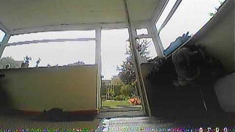 Betafpv beta65x 2s brushless whoop initial flight test stock settings, acro garden and house.