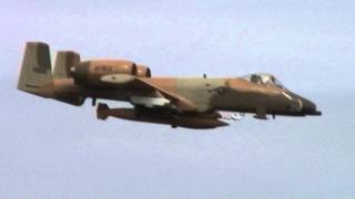 Florida Jets 2008 - Big A-10 Warthog
