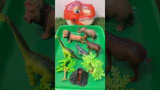 Satisfying video | animals and dinosaur |T-rex, zebra, tiger | #asmr #animals #animalstoys #toys