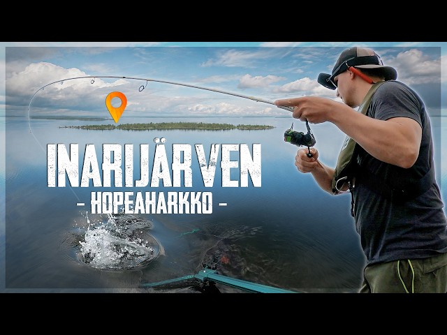 Kala joka melkein jäi saamatta! – Hopeaharkko Inarijärveltä