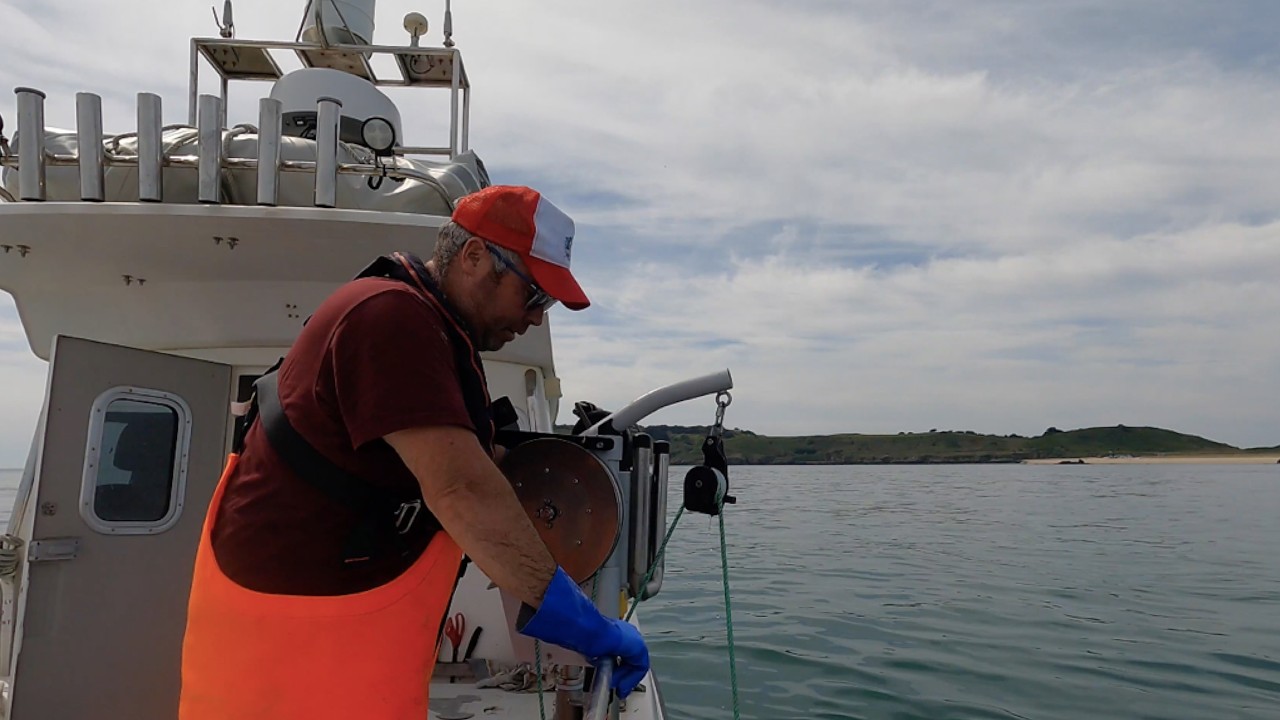 Nice Day for Fishing