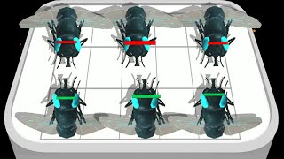 Insect Ant FIghting -  MODED Merge Games -  Gameplay (42) screenshot 5