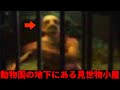 【衝撃映像】カメラが捉えた奇妙な未確認生物TOP7 Ep 2: 見世物小屋【都市伝説】