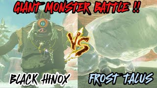 HINOX BLACK VS FROST TALUS ! GIANT MONSTER BATTLE ! (The Legend of Zelda: Tears of the Kingdom)