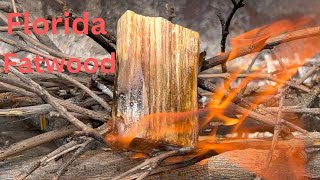 Florida fatwood | carne asada on charcoal | lighting my grilling fire with ferro rod and fatwood.