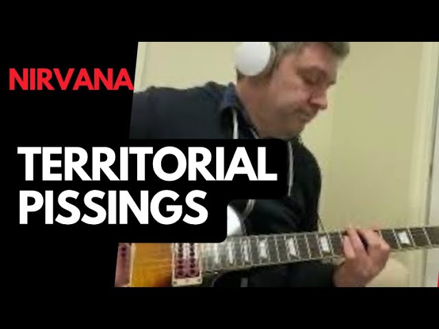 Nirvana - Territorial Pissings - Guitar Cover