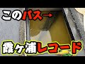 霞ヶ浦にこんな怪物ブラックバスがいました