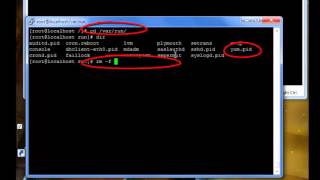 Famous Centos:How to Resolve Another app is currently holding the yum lock (see descritpion below) Net Worth