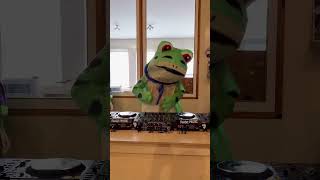 You see this guy in the DJ booth at the rave…WYD?!😂🐸 #dubstep #frog