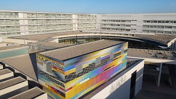 CHROMADYNAMICA para Valencia by Felipe Pantone