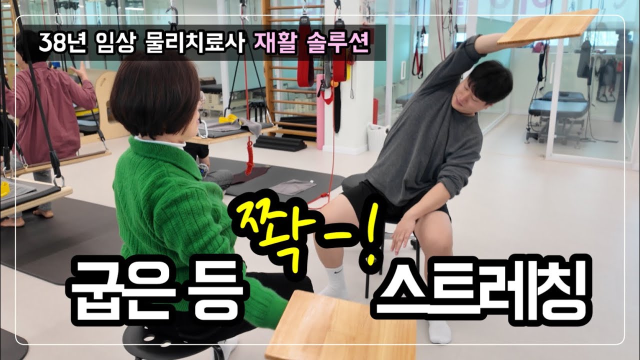 양재 강남 허리통증 어깨 손목 등 스트레칭 물리치료사 판 운동 아펠운동센터