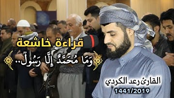 بمقام الصبا يبهر المصلين | القارئ رعد الكردي | سورة آل عمران