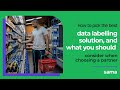 How to pick the best data labeling solution, and what you should consider when choosing a partner