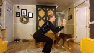 PE ELearning Ox Bow #4 Squat Jumps