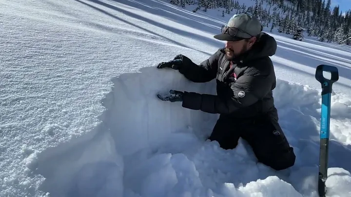 Whitepine Field Day - 2/17/22