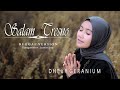 SALAM TRESNO - DHEVY GERANIUM ( REGGAE VERSION )