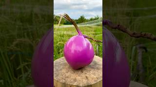 Keterampilan mengupas kelapa yang sangat Indah #keterampilan #mengupas #kelapa #indah #asmr #shorts