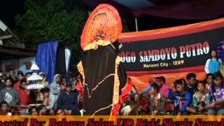 rogo samboyo putro live bolodewo