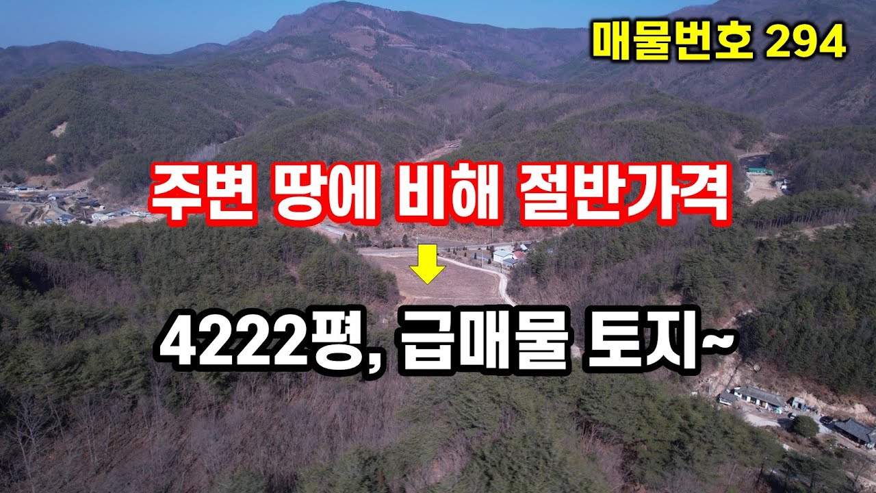 경북땅 시골땅 국도를 접하고 있는데 가격은 주변 토지의 절반 가격입니다~