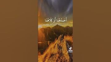 القران الكريم