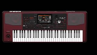 Ke Çayır Korg Pa1000