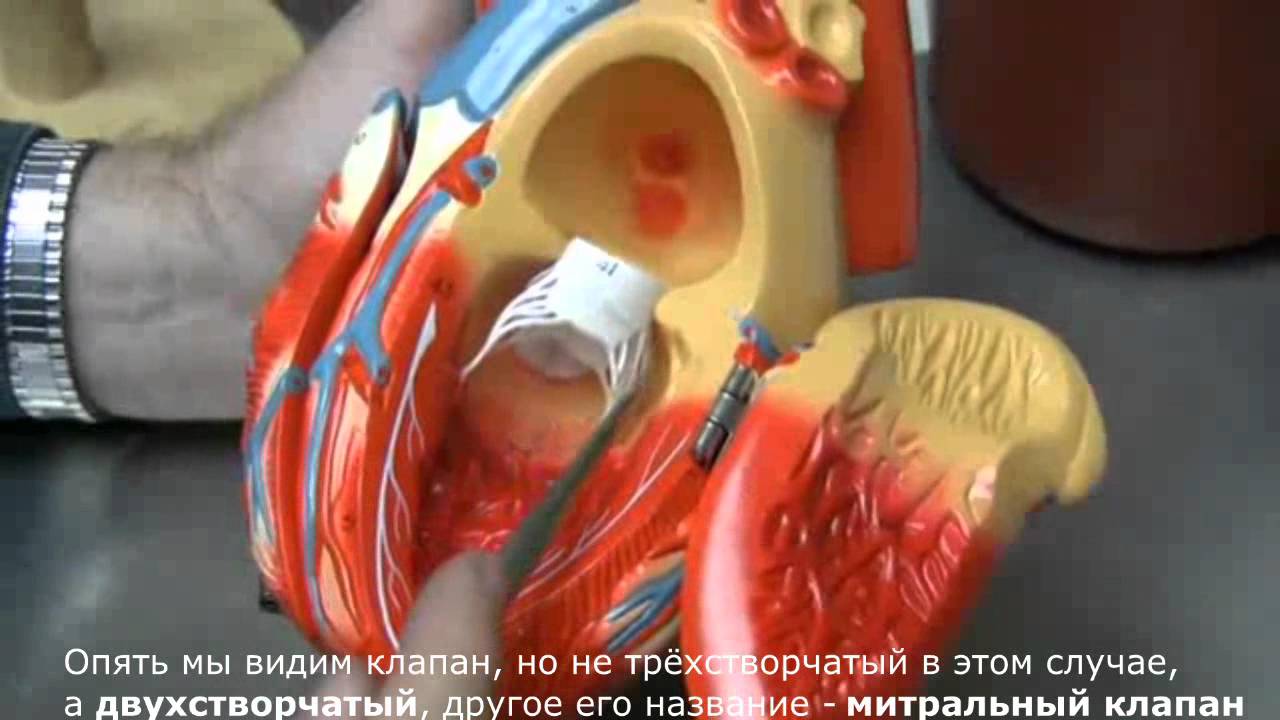 Ока околдованы сердцами