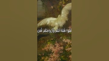 تلاوة عطرة للقارئ الشيخ محمد صديق المنشاوي ما تيسر من سورة الزخرف #quran #اكسبلور #قرآن #لايك #fyp