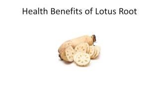 Top 10 Health Benefits and Advantages of Eating Lotus Root