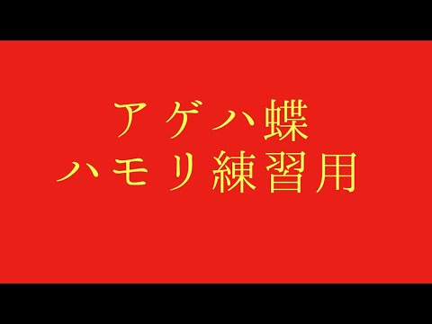 【アゲハ蝶 - ポルノグラフィティ】ハモリ練習用 King Gnu 井口理 × ポルノグラフィティ 岡野昭仁 オールナイトニッポン ミュージックアワーver.