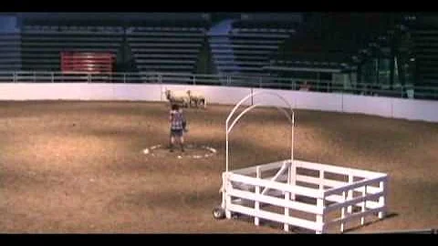 Janet Thorpe and Delmar Scott at Calgary Stampede ...