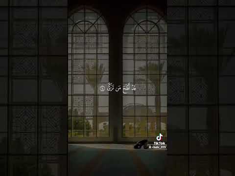 ٥ أيار، ٢٠٢٦