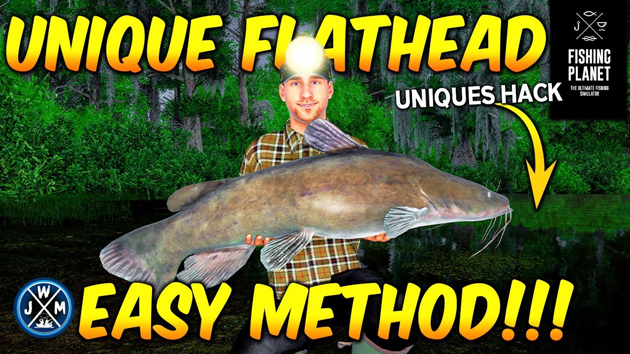 How to Catch UNIQUE FLATHEAD CATFISH (Easy) on Quanchkin Lake in