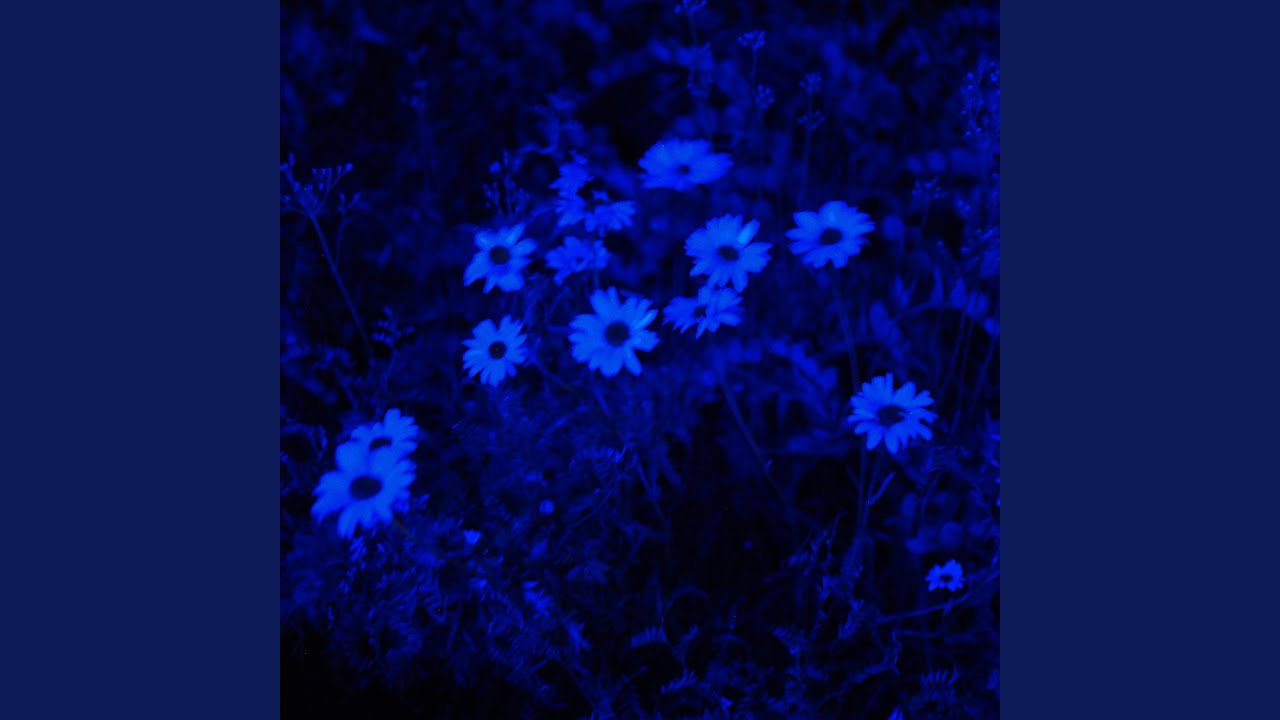 Blue Hour (Interlude)