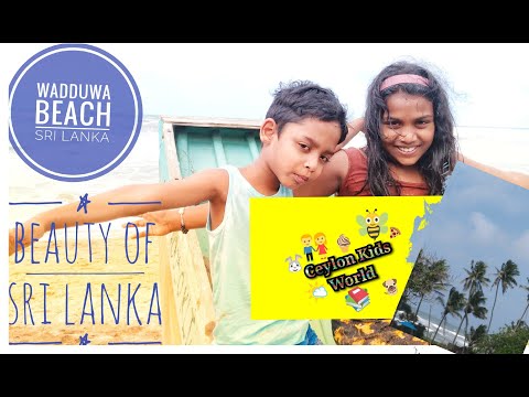 Vidéo: Tourisme Au Sri Lanka : Wadduwa