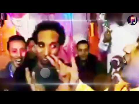 المبدع الحاوي و السلطان حمو اسماعيل من حفلة الأقصر 