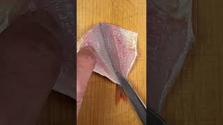 Can You Guess This Fish?