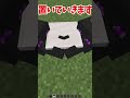 海外でバズった顔が作れる海外の動画は本当か検証してみた！！！【マイクラ】#Shorts
