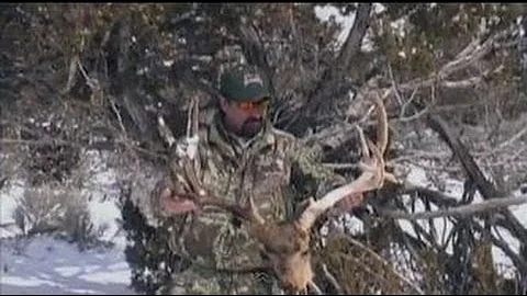 Archery Mule Deer Hunt in Utah -  The Lost Buck - MossBack