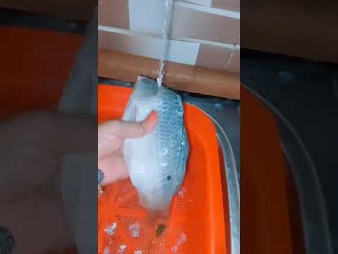 ليش يصير السمج المجمد اسود بالتكلاء اكلكم بالسر