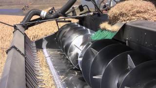 Flex Cropping: Farmer-to-Farmer Case Study Series