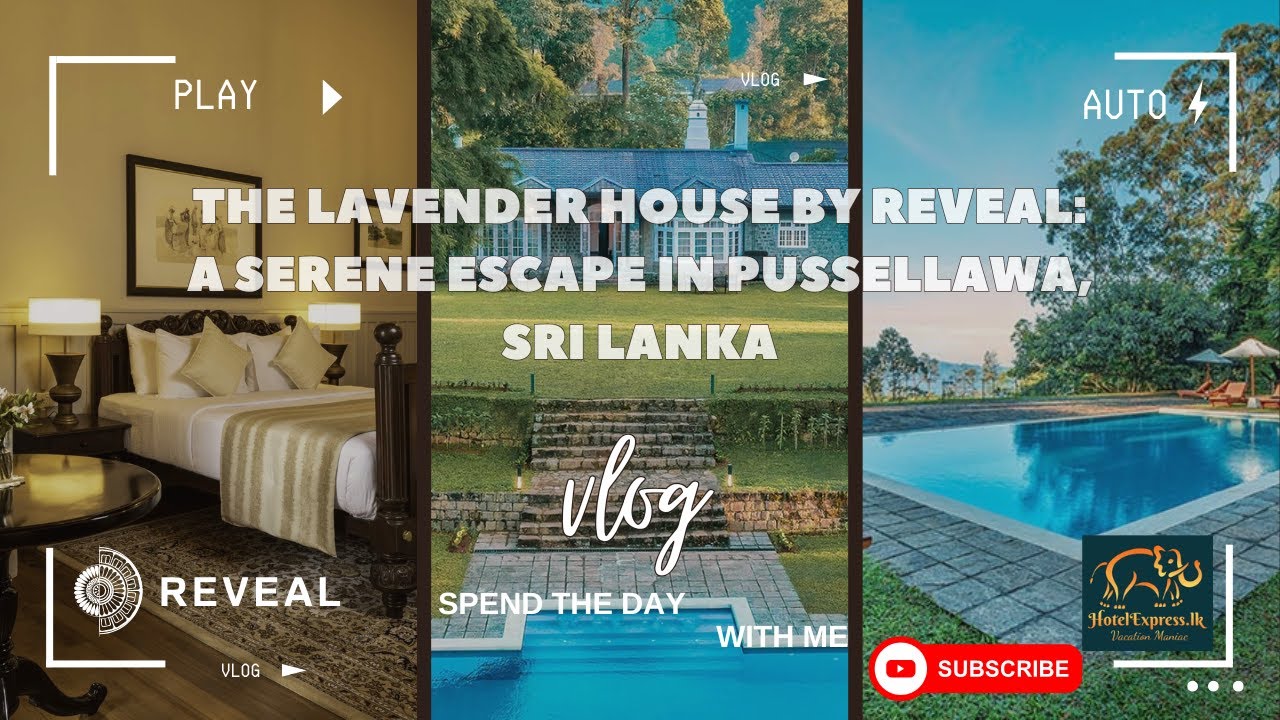 "The Lavender House by Reveal: A Serene Escape in Pussellawa, Sri Lanka"