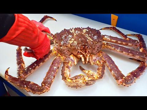 Special skill!Giant King Crab cutting Master, Luxurious sashimi, Crab fried rice/巨大帝王蟹切割大師,奢華蟹腳,蟹膏炒飯