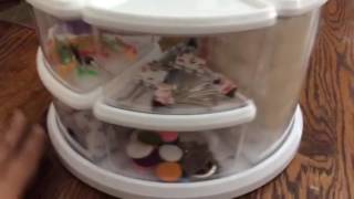 Rotating Carousel Organizer