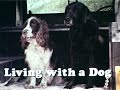 Living with a Dog, 1977