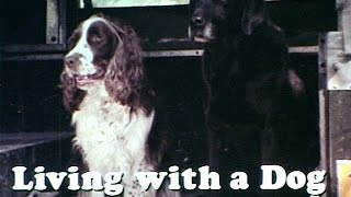 Living with a Dog, 1977
