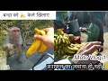 "My First Moto Vlog: Feeding a Monkey & Helping a Poor Lady with ₹10!"