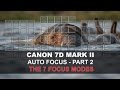 Canon 7D Mark II Auto Focus - Part 2/5: The 7 Focus Modes