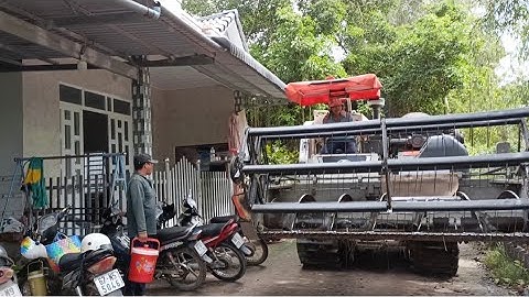 máy cắt Kubota 105 ra ruộng với máy 70 độ 95 tập 156#maibangtv